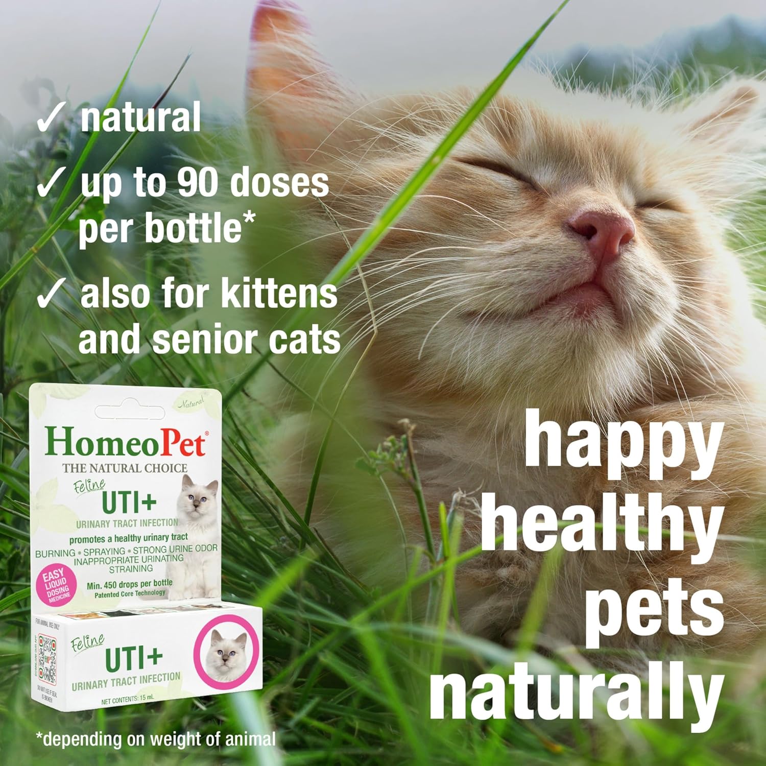 Natural homeopathic urinary tract support drops for cats