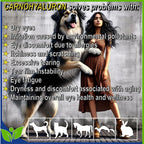Back label of Handmade lubricating gel eye drops featuring active ingredients 0.25 percent hyaluronic acid and L-carnosine