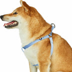 Blueberry Pet Essentials Step-in Dog Harness, Small Size | Adjustable Fired Brick Vest | Classic Solid Nylon for Boy & Girl Dogs, Chest Girth 16.5" - 21.5" - Image 13