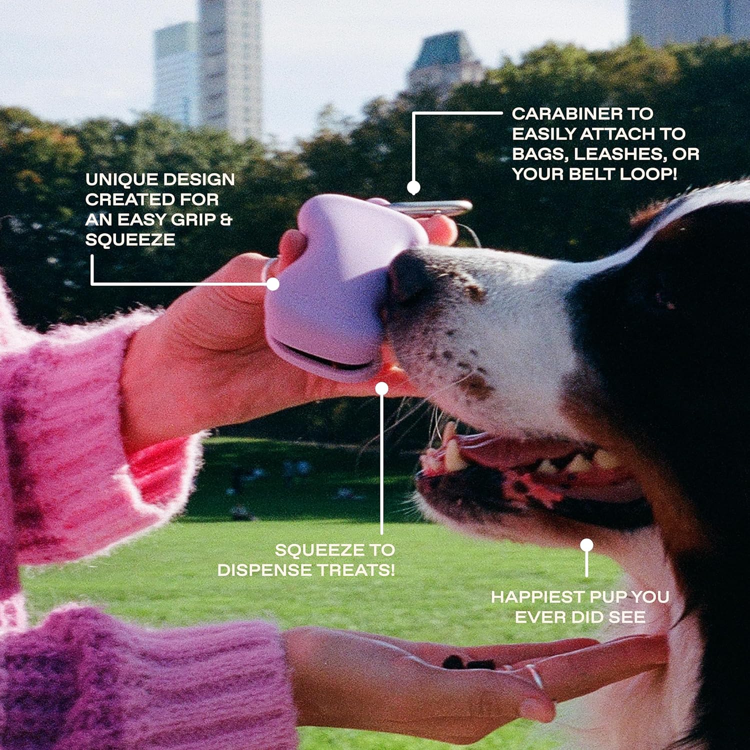 Springer portable pet reward holder attached to leash