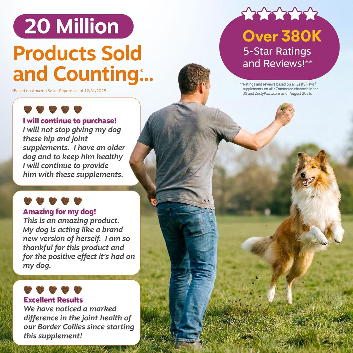 Bacon flavored glucosamine chews for senior dog joint relief