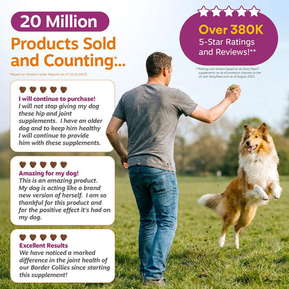 Bacon flavored glucosamine chews for senior dog joint relief