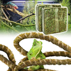 Bearded dragon exploring the Duspro bendable climbing branch setup