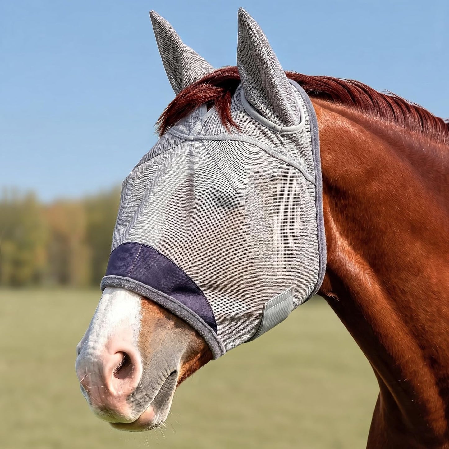 Animal-Gifts horse fly mask with ears gray front view