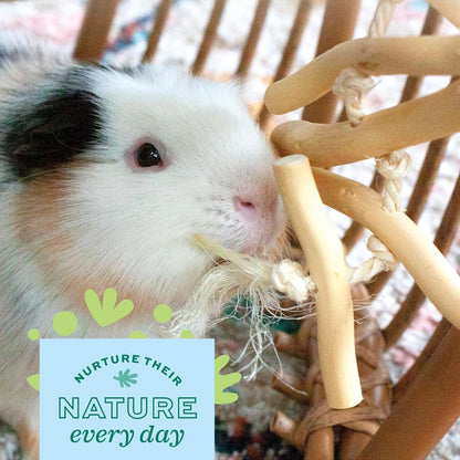 Raffia and bulrush textures on the Oxbow hamster stuff variety pack components.