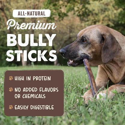 Mighty Paw grass fed beef dog chews single ingredient treats