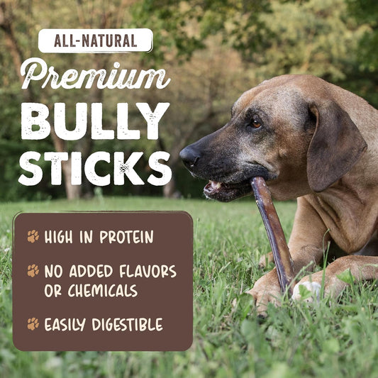 Mighty Paw grass fed beef dog chews single ingredient treats