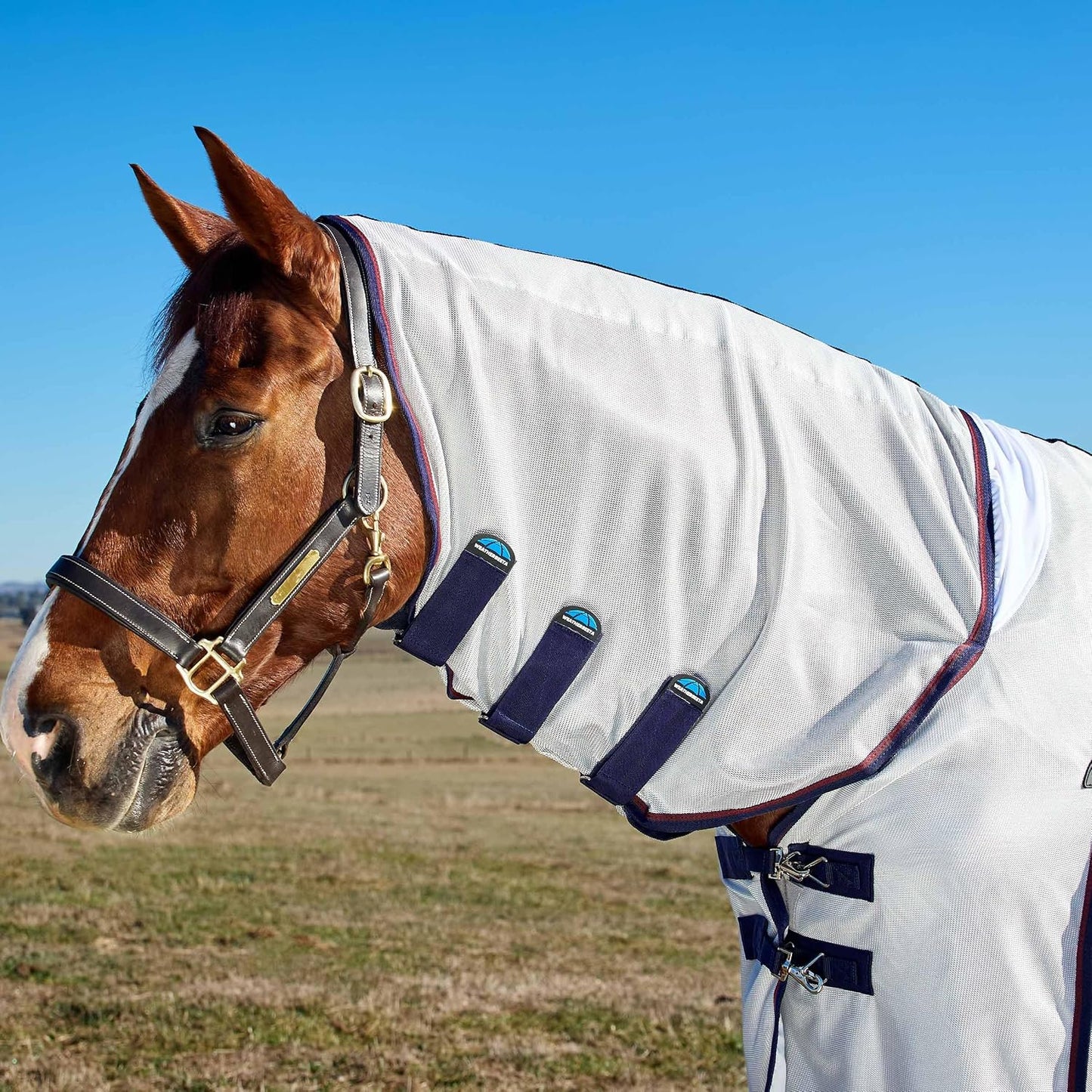 WeatherBeeta horse rug belly wrap and strap system