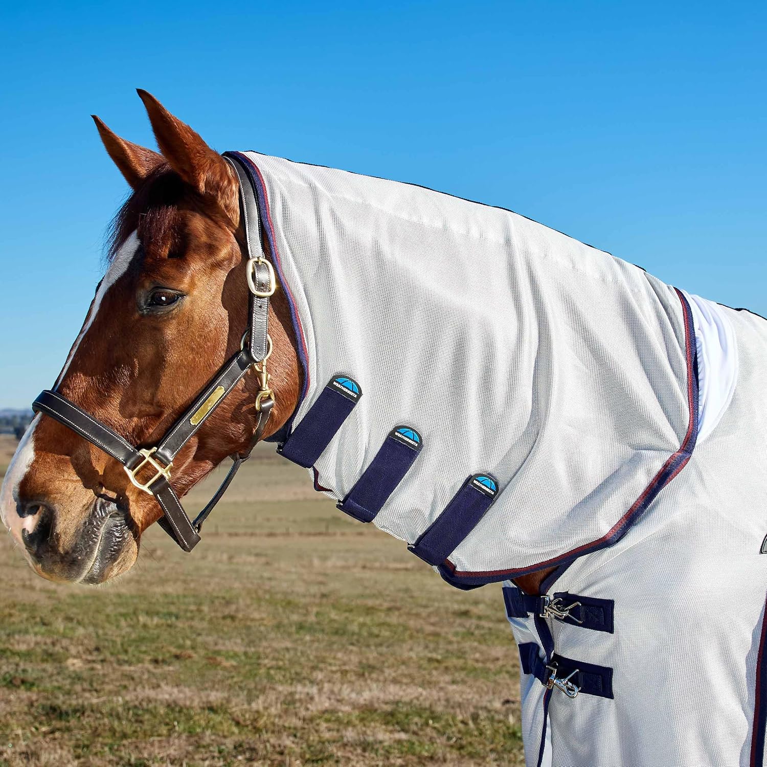 WeatherBeeta horse rug belly wrap and strap system