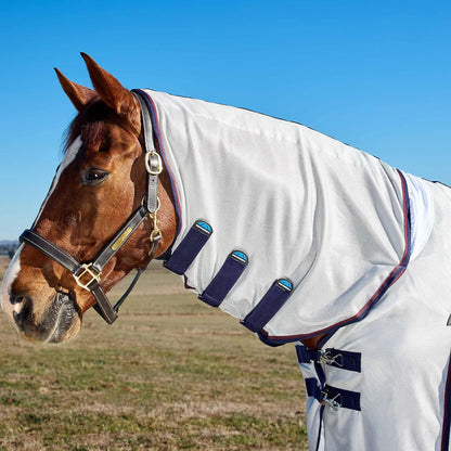 WeatherBeeta horse rug belly wrap and strap system