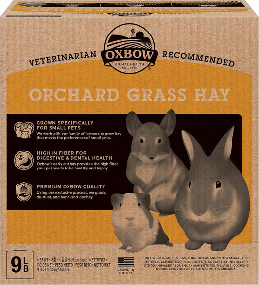 Oxbow Animal Health Orchard Grass, Guinea Pig Hay, Rabbit Hay, Small Pet Bunny Supplies, All Natural Grass for Guinea Pig, Bunny, Chinchilla & Hamster, Oxbow Rabbit Supplies for Bunnies, 9 lb. box - Image 1