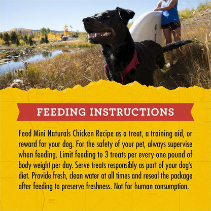 Zuke's Mini Naturals Dog Training Treats for Dogs, Pet Treats Made with Real Chicken, 16 oz - Image 11