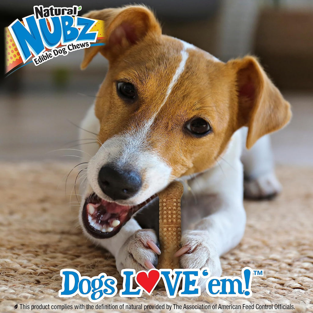 Nylabone United States made digestible dog chew bones texture details for plaque reduction