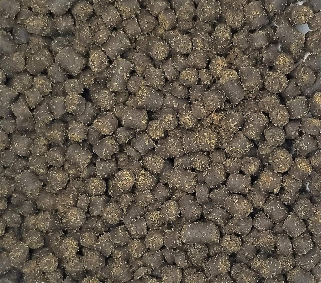 Invert Aquatics Frog Bites soft moist texture pellet closeup for small amphibians