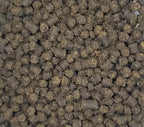 Invert Aquatics Frog Bites soft moist texture pellet closeup for small amphibians