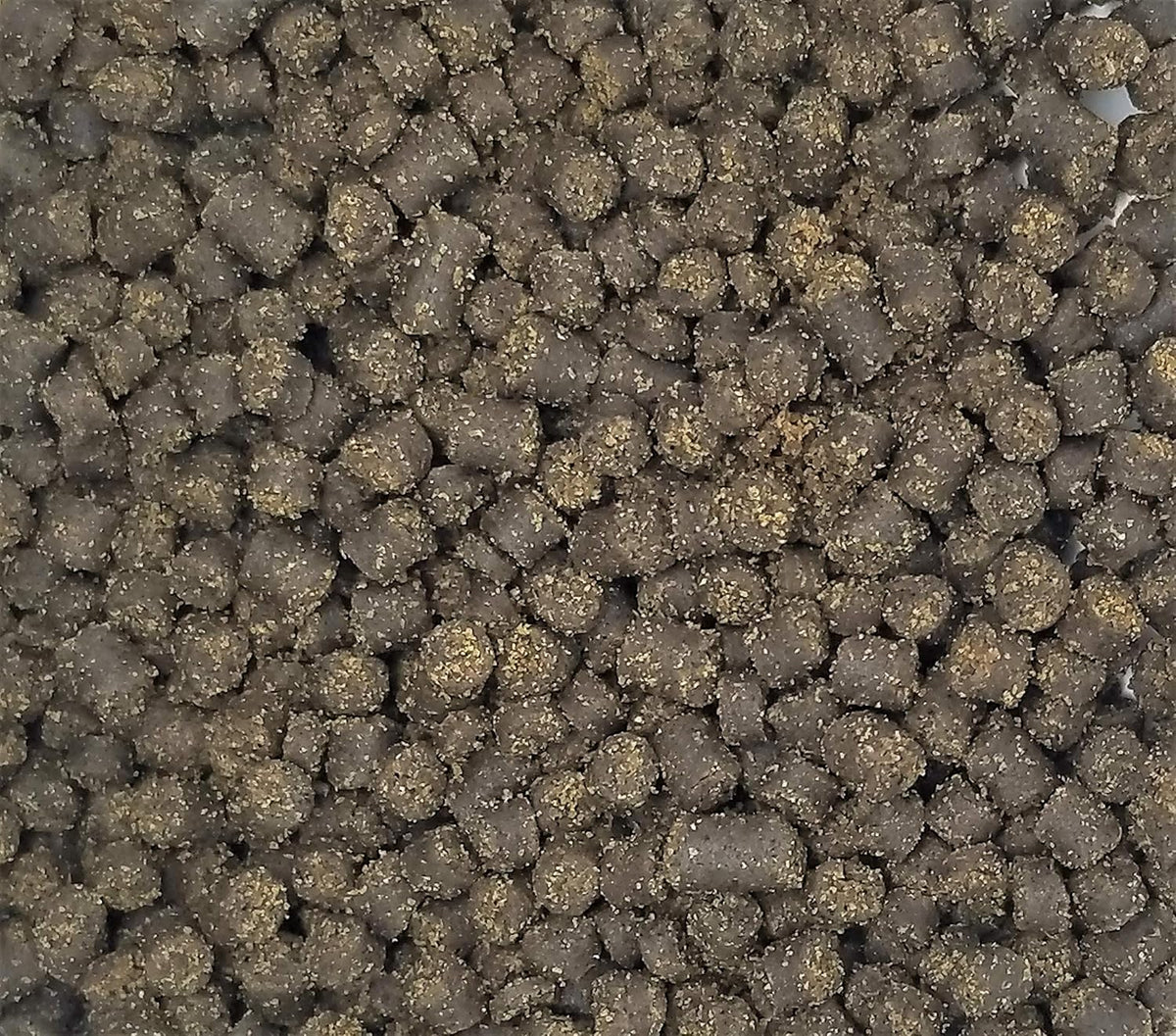 Invert Aquatics Frog Bites soft moist texture pellet closeup for small amphibians