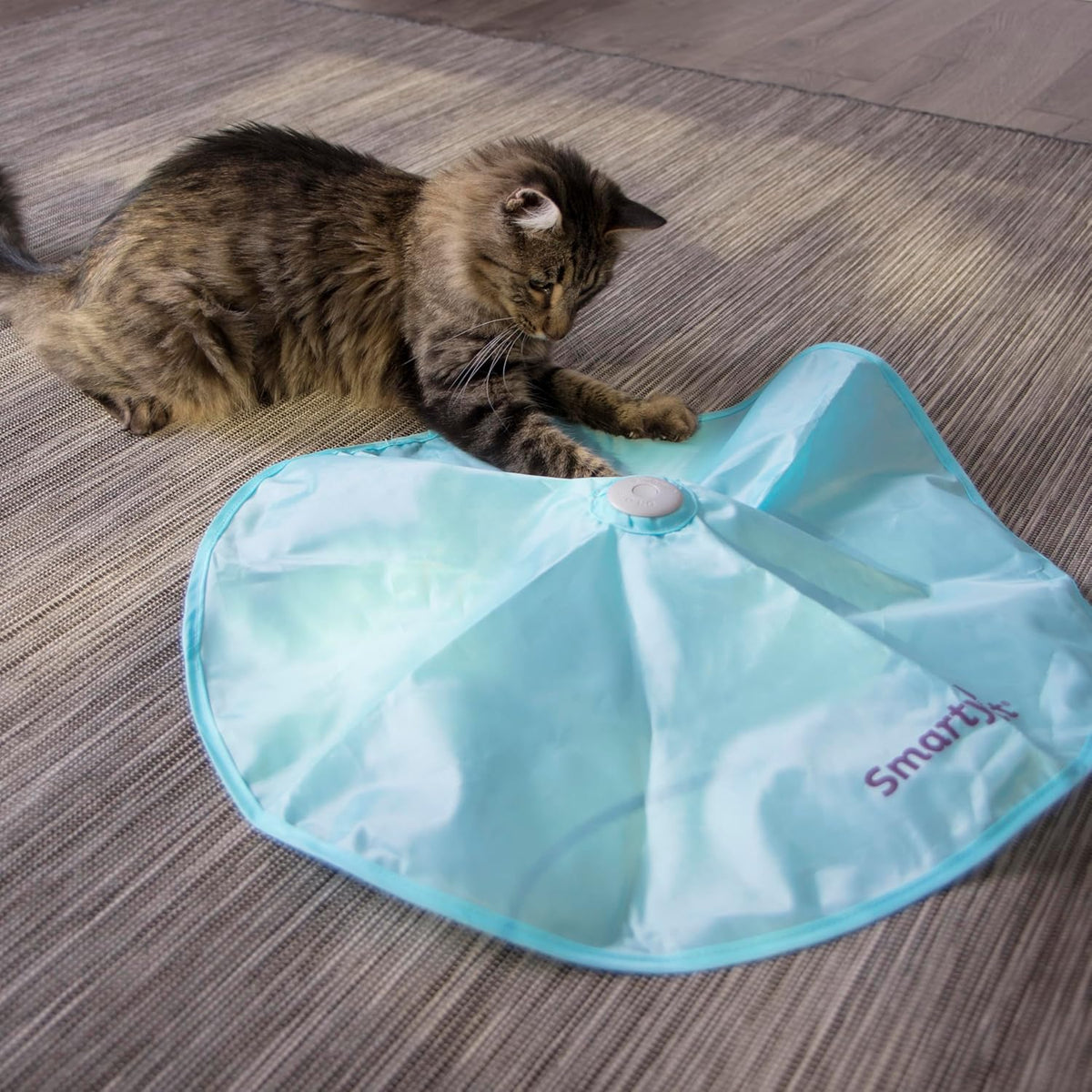 SmartyKat Electronic Motion/Moving Toys for Cats & Kittens, Battery Powered, Mimics Motion of Real Prey, Fun & Interactive Play - Multiple Styles - Image 9