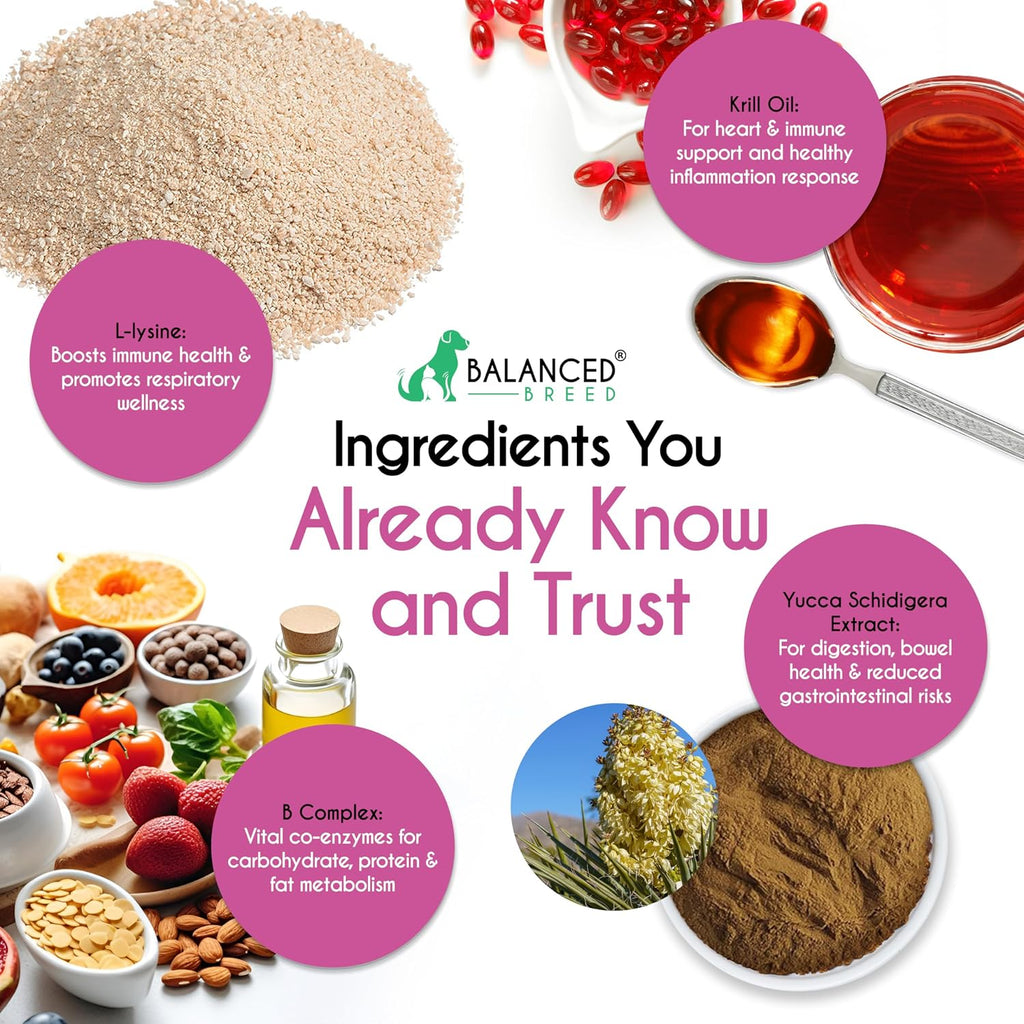Balanced Breed L-Lysine chews with krill oil benefits