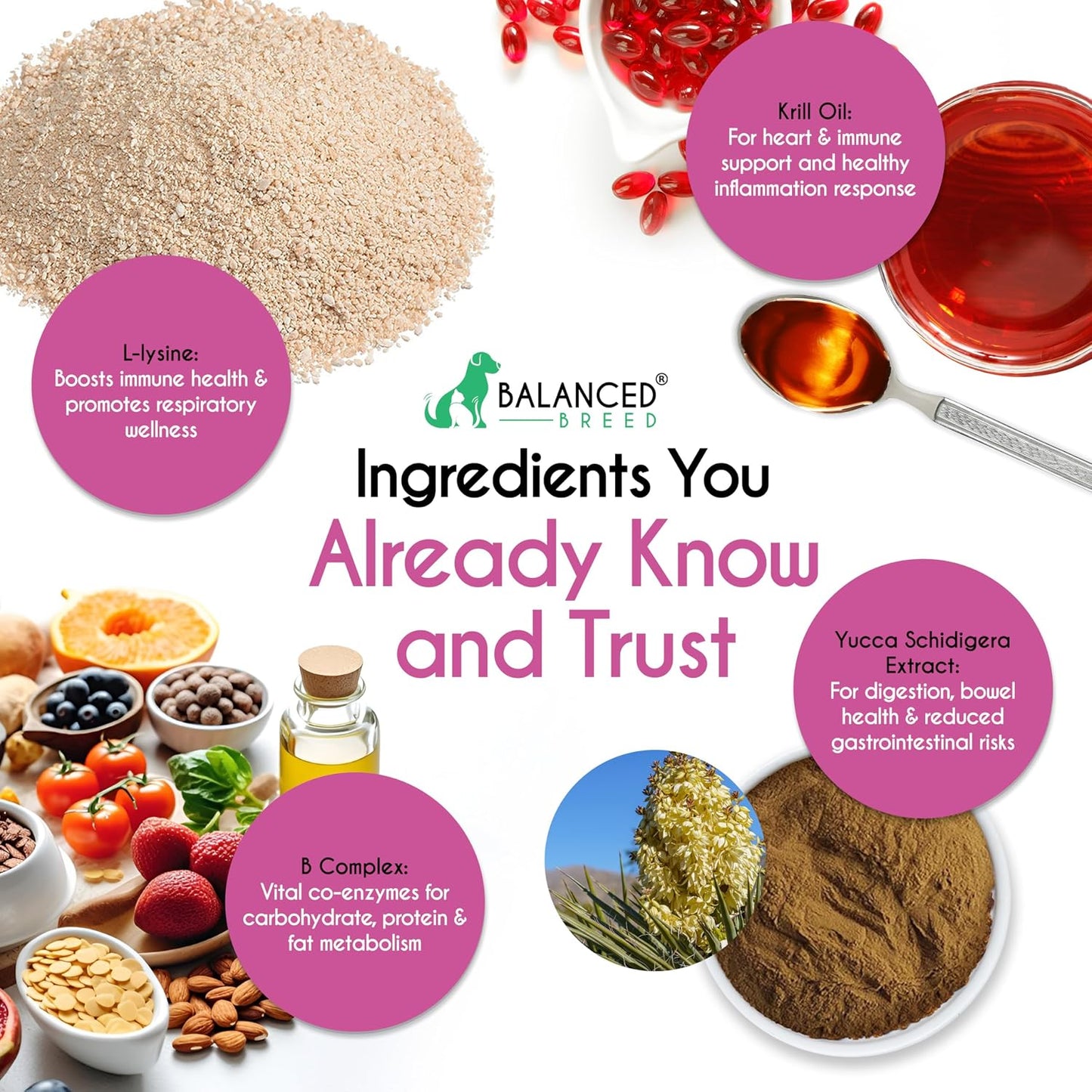 Balanced Breed L-Lysine chews with krill oil benefits