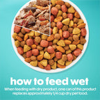 Premium imported Purina Beneful wet dog food cans ideal for small adult dogs available in India.