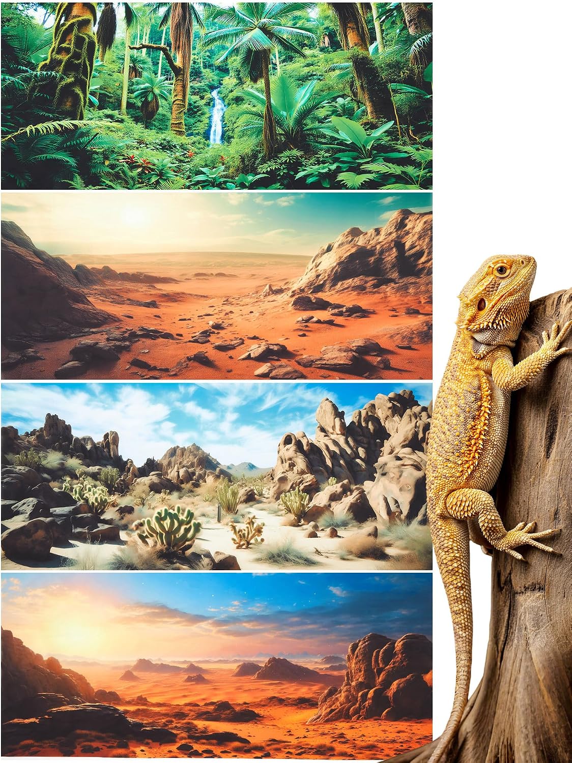 Breling 4 Pcs Reptile Habitat Background with Nano Glue Gobi Sun Cactus Stone and Green Tree Fern Stream Terrarium Background Polyester Durable Aquarium Accessories (Style2,36 x 18 Inch) - Image 12