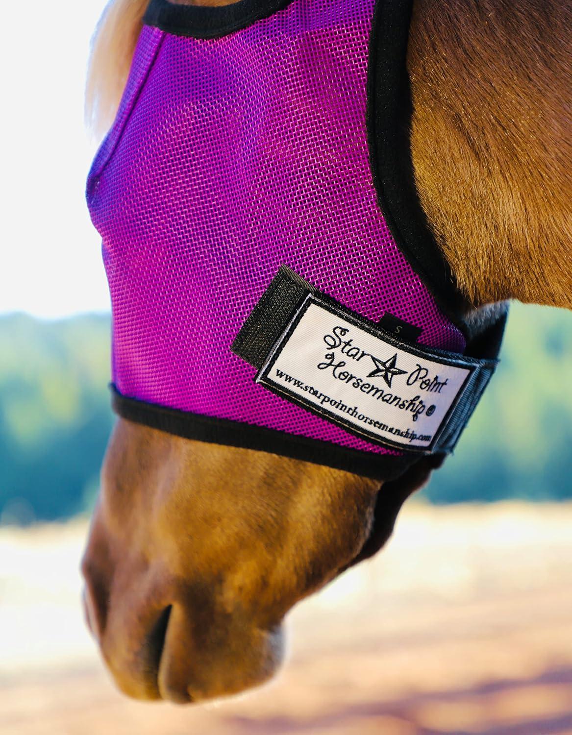 Star Point Horsemanship Miniature Horse-Pony No Ear Fly Masks100% Full UV Protection Durable Mesh Highly Comfortable (Small 28-32" Mini, Light Blue) - Image 10