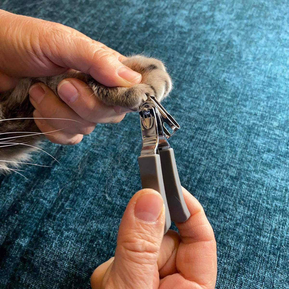 Side profile of Jackson Galaxy Gentle Grooming Cat Clippers