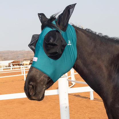 Horse wearing stretchy fly mask showing comfortable fit around ears