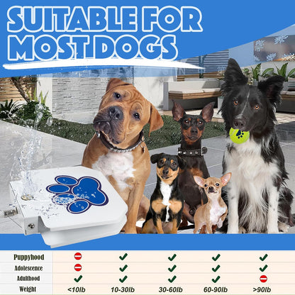 Bacoeng outdoor pet water dispenser base and anti-slip pads