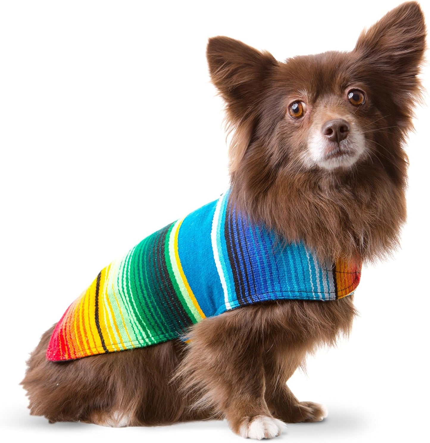 Baja Ponchos handmade blue Mexican blanket dog poncho front view