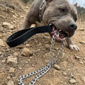 CtopoGo chew proof pet lead highlighting the black padded polyurethane leather handle.
