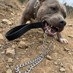 CtopoGo chew proof pet lead highlighting the black padded polyurethane leather handle.