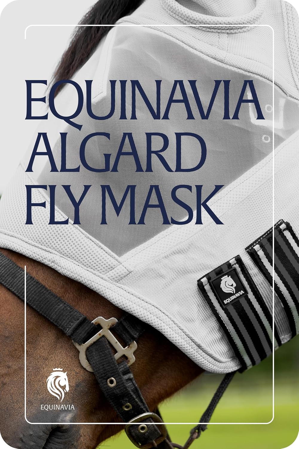 Full packaging view of authentic Equinavia horse gear