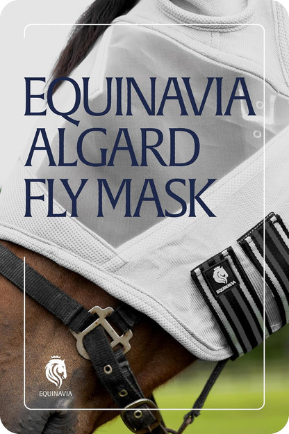 Full packaging view of authentic Equinavia horse gear