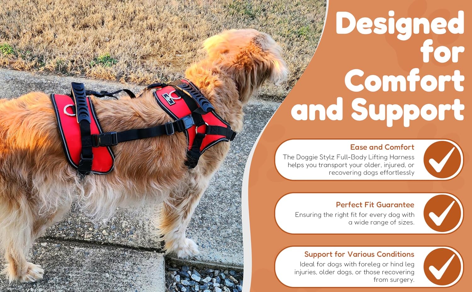 Doggie Stylz lifting harness showing front and rear connection points