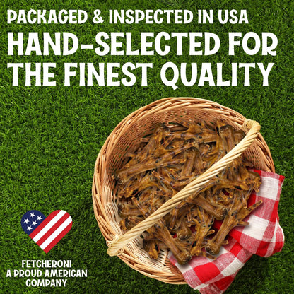 Fetcheroni dehydrated poultry foot dog chew close up displaying crunchy texture
