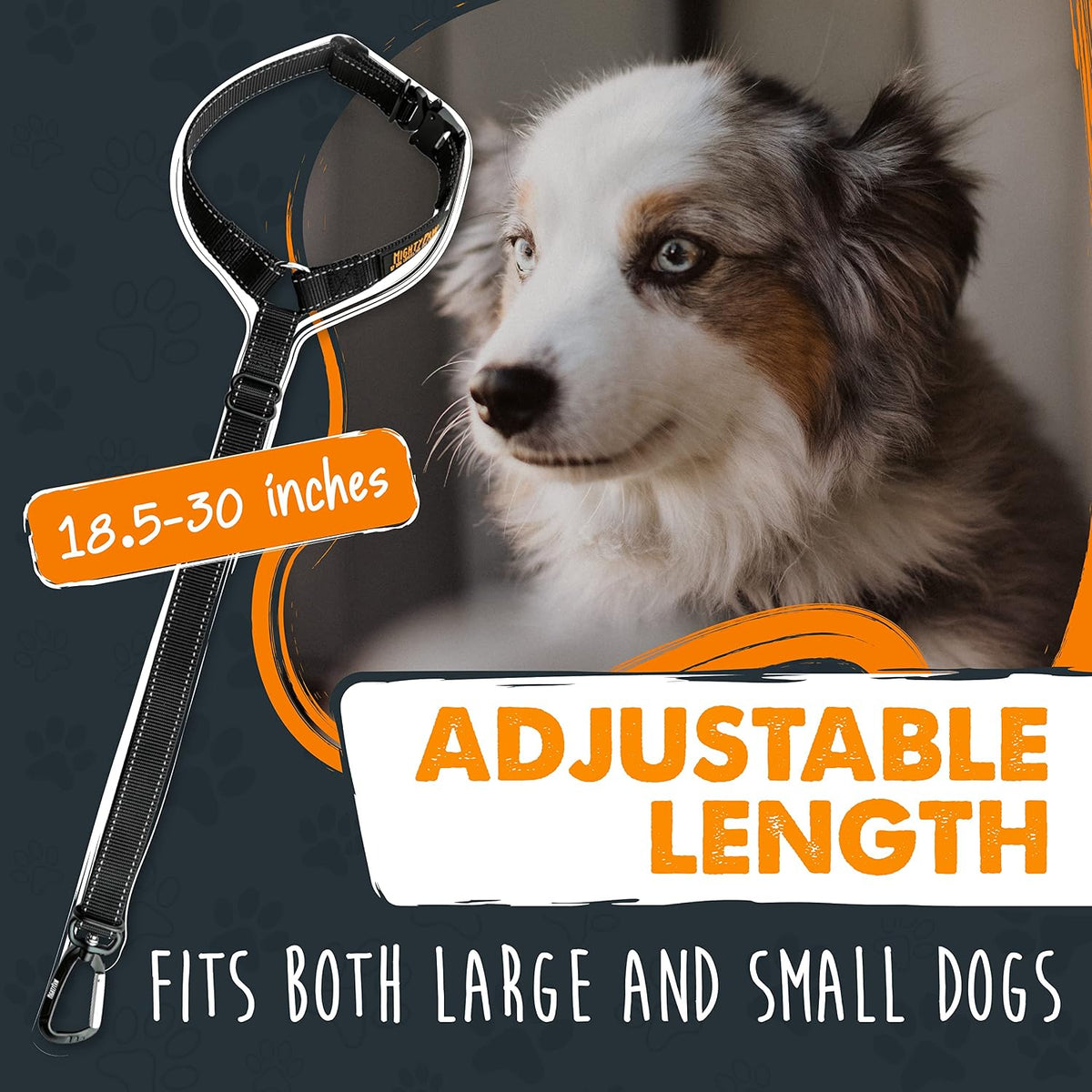 Mighty Paw pet safety tether showing tactical buckle