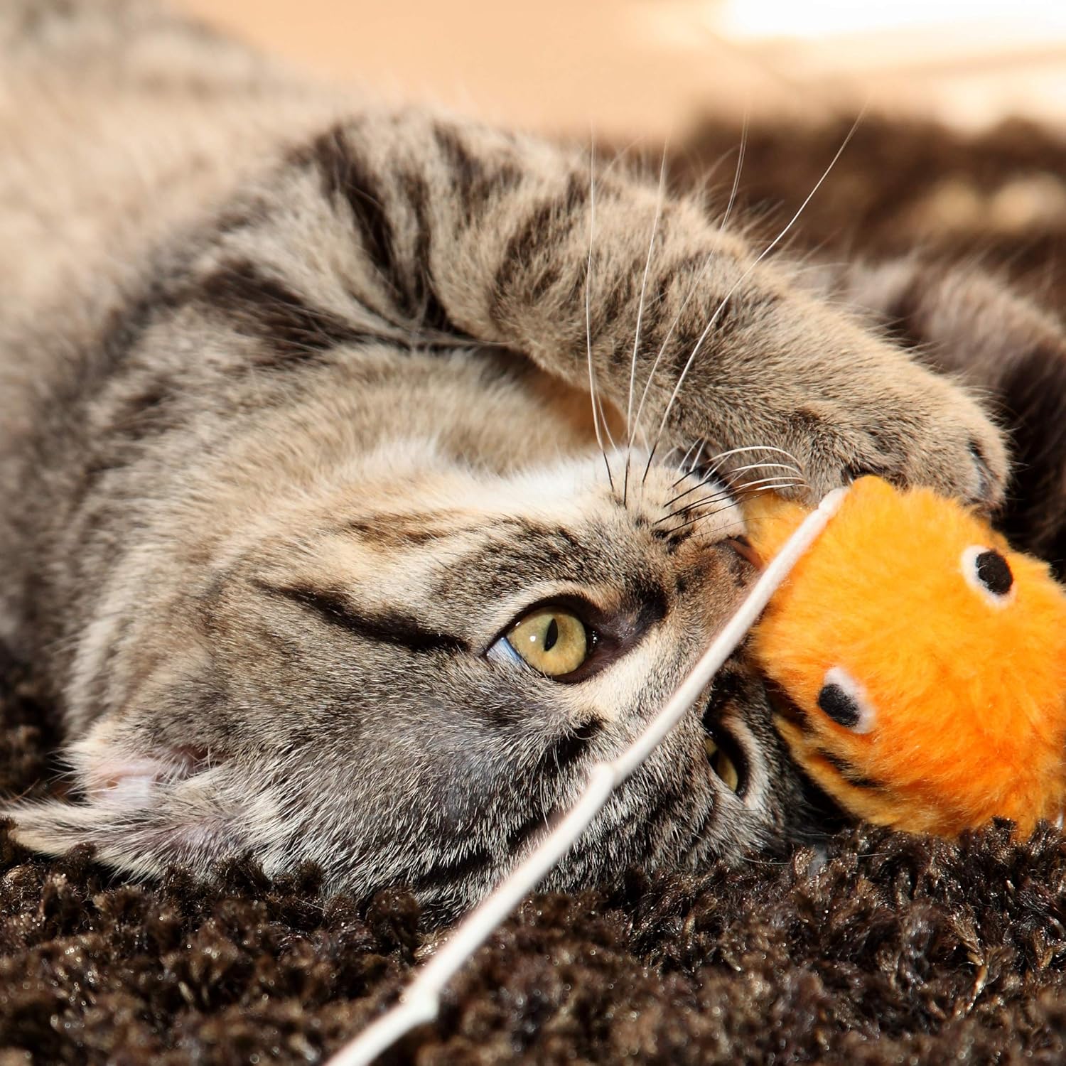 Side angle view of an indoor cat resting on the cozy fleece padding of the Petmaker activity center.