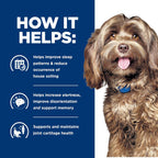 Authentic USA imported Hill's Prescription Diet therapeutic dog food bag highlighting joint care benefits.