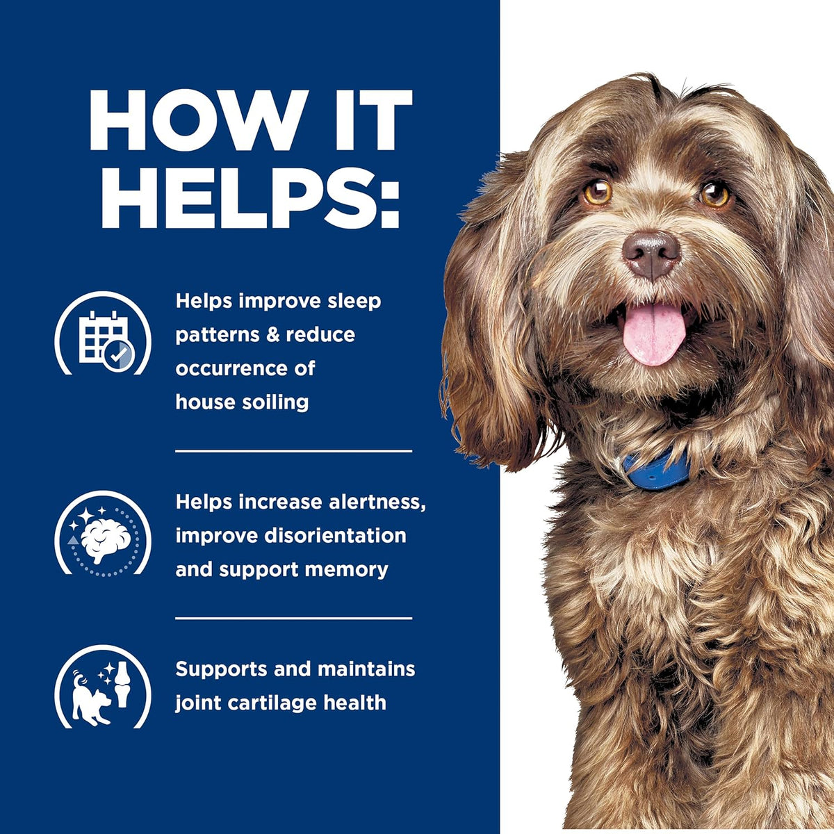 Authentic USA imported Hill's Prescription Diet therapeutic dog food bag highlighting joint care benefits.