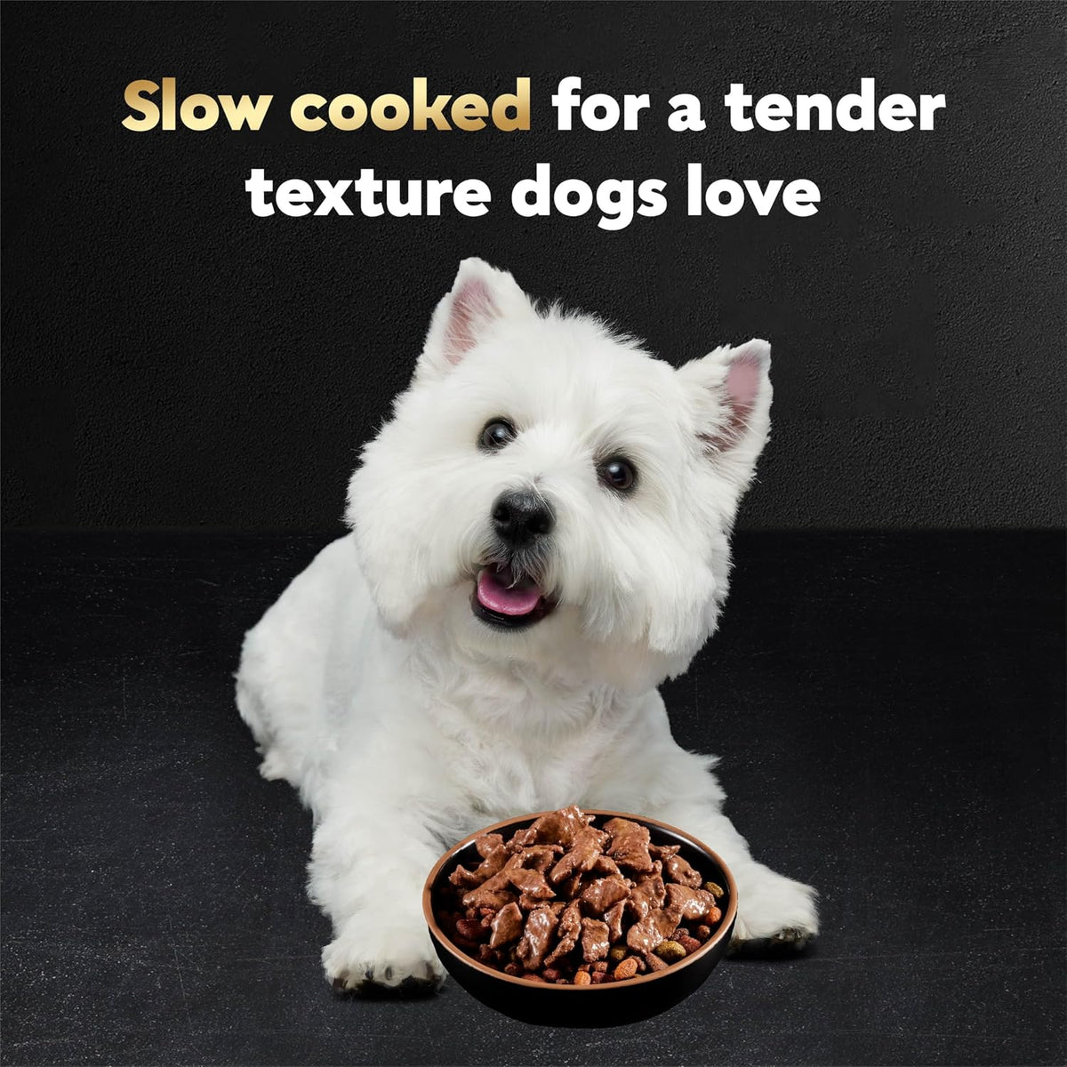 Premium beef filet mignon flavor dog food meal topper pouch