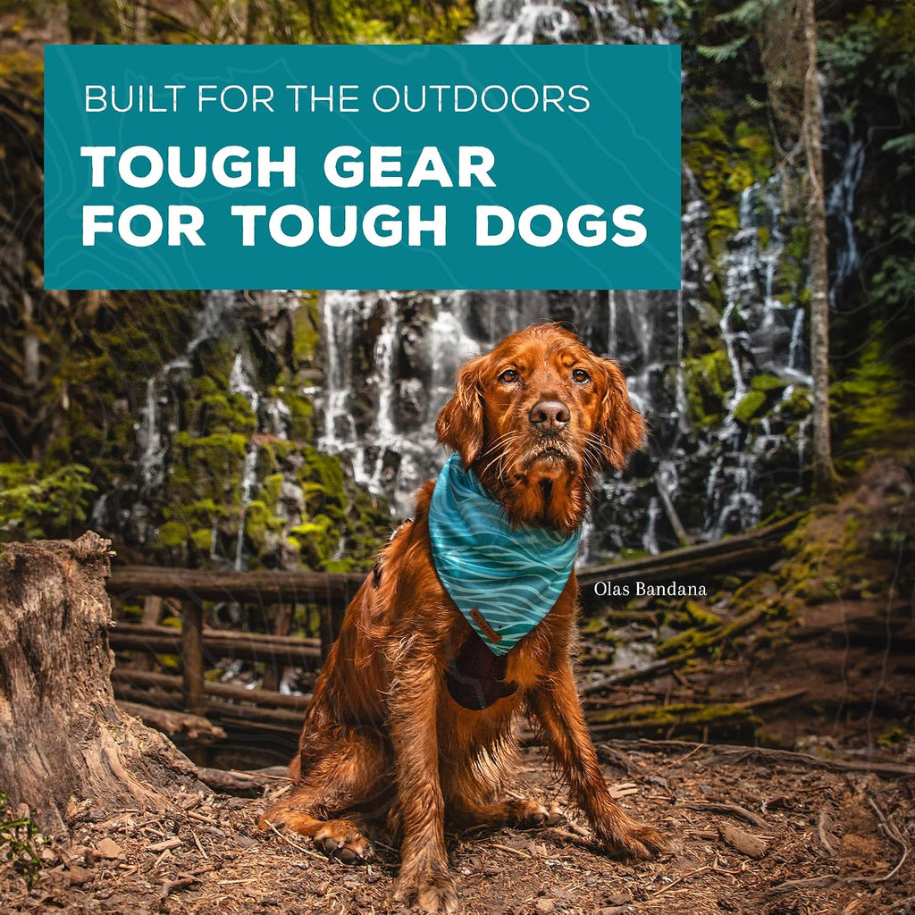 Wilderdog trail tested poly blend dog cooling neck scarf