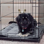 K&H Pet Products electricity free thermal mat placed inside a pet carrier