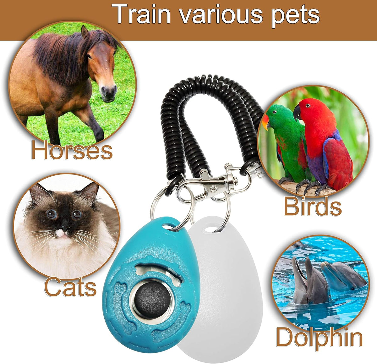 Chadou training clicker with attached black coiled wrist strap