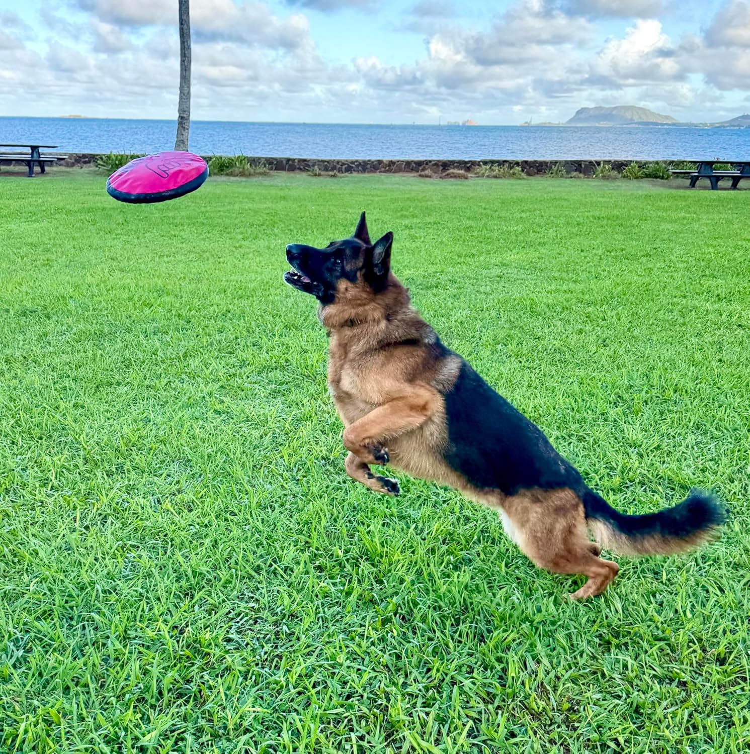 Shaka ZippyToss flying disc floating on water surface