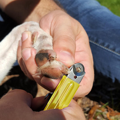Close up of Resco guillotine dog nail trimmer blade