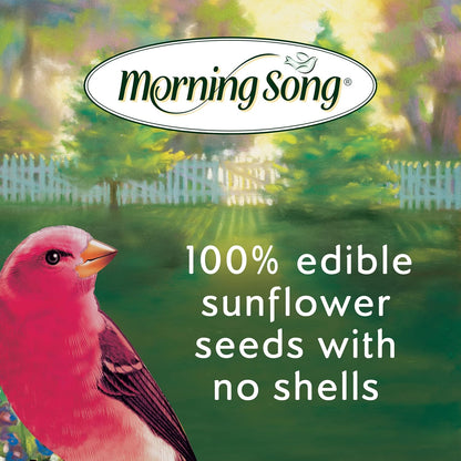 Morning Song bird seeds inside a garden hopper feeder
