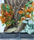 Woyrise plastic plant for snake enclosure