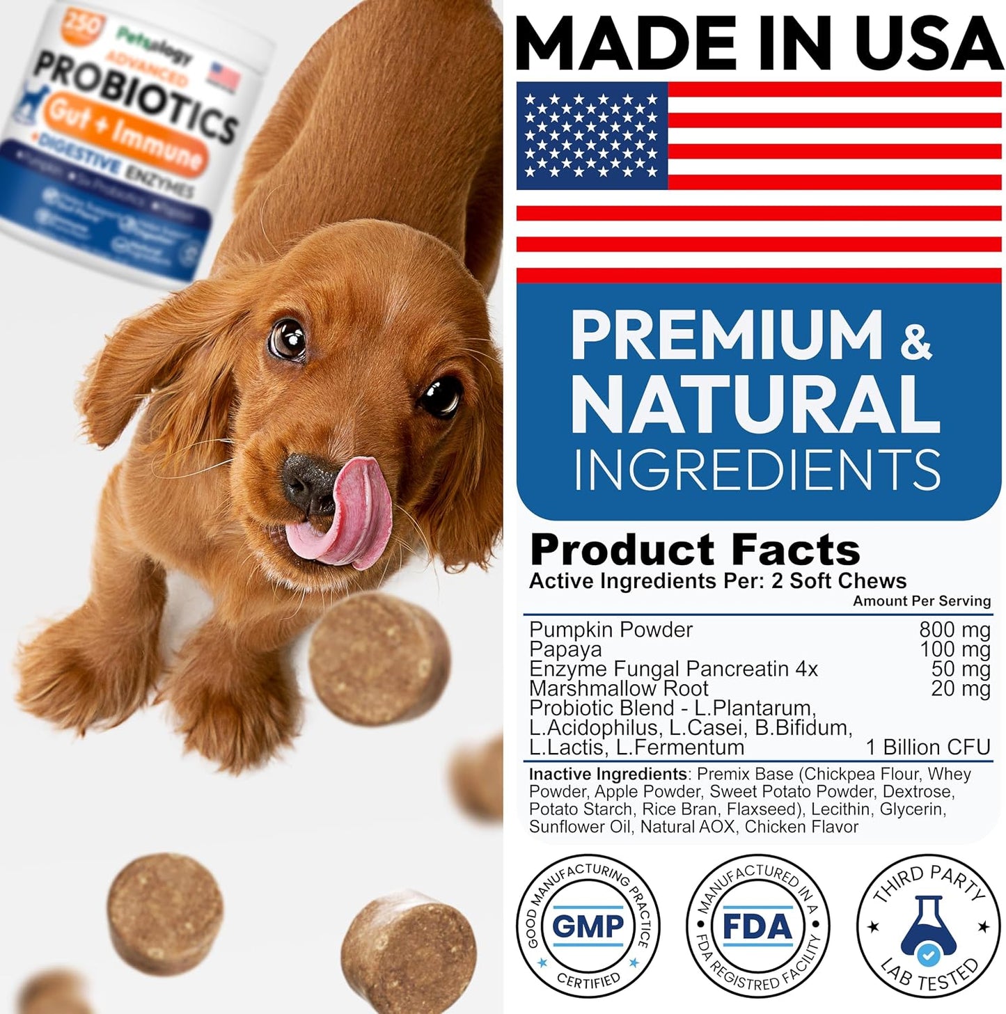 Healthy dog happy with Petsology digestive supplement