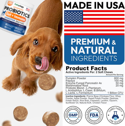 Healthy dog happy with Petsology digestive supplement